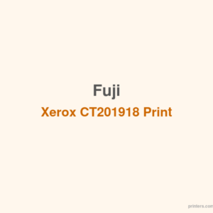 Fuji Xerox CT201918 Print Cartridge - 香港原裝行貨 Printers.com.hk